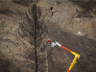 Worker

A B.C. Hydro worker repairs power lines behind a burnt tree at a trailer park almost completely destroyed by wildfire in Boston Flats, B.C., on Sunday July 9, 2017. B.C. government officials now estimate that 7,000 people have been evacuated from their homes due to wildfires burning in the province. THE CANADIAN PRESS/Darryl Dyck ORG XMIT: VCRD239
DARRYL DYCK,