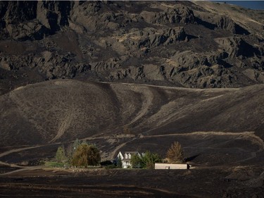 Home

A house that survived a wildfire is seen on the side of a mountain in Boston Flats, B.C., on Sunday July 9, 2017. B.C. government officials now estimate that 7,000 people have been evacuated from their homes due to wildfires burning in the province. THE CANADIAN PRESS/Darryl Dyck ORG XMIT: VCRD238
DARRYL DYCK,