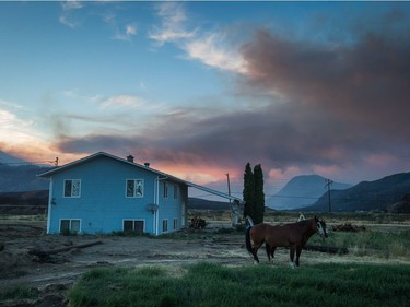 Horses

Horses that survived a wildfire stand outside a neighbouring home to feed after numerous homes were destroyed by fire on the Ashcroft First Nation, near Ashcroft, B.C., late Sunday July 9, 2017. THE CANADIAN PRESS/Darryl Dyck ORG XMIT: VCRD224
DARRYL DYCK,