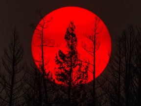 The sun is obscured by smoke from wildfires in the distance behind burnt trees in Williams Lake, B.C., on Sunday, July 30, 2017.