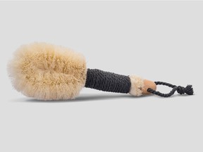 The In The Buff Dry Brush from Saje Natural Wellness.