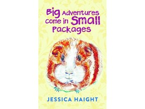 Book cover art for the new release Big Adventures Come in Small Packages by Jessica Haight.