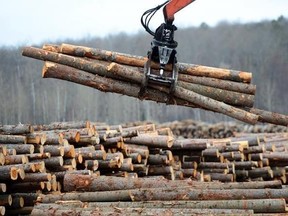 Workers sort wood at Murray Brothers Lumber Company woodlot in Madawaska, Ont. on April 25, 2017. The latest news on softwood lumber is being greeted as an encouraging sign by one analyst, who points to several developments that increase hope of a deal between Canada and the United States.THE CANADIAN PRESS/Sean Kilpatrick