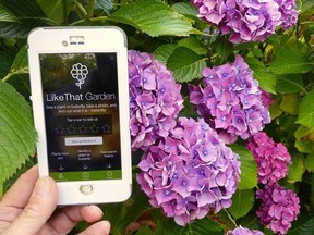 In this Aug. 3, 2017 photo, a gardener in Langley, Wash., is shown holding a mobile phone with app called &ampquot;Like That Garden,&ampquot; which is one of the many entries in the expanding field of apps designed to instantly identify unknown plants or butterflies from a photo taken by the phone camera. (Dean Fosdick via AP)