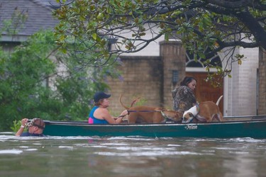 A family evacuates their Meyerland home in Houston, Sunday, Aug. 27, 2017.  Rescuers answered hundreds of calls for help Sunday as floodwaters from the remnants of Hurricane Harvey rose high enough to begin filling second-story homes, and authorities urged stranded families to seek refuge on their rooftops.