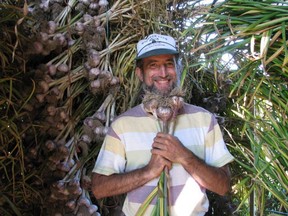 Lumby garlic farmer Jim Capellini has some fun in the drying shed at Rasa Creek Farm.