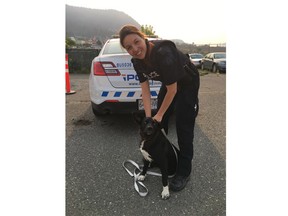 Cpl. Stephanie Lin with the rescued dog.