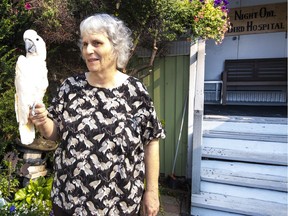 Dr. Anne McDonald, head of the Night Owl Animal Hospital in Kits, with one of her patients.