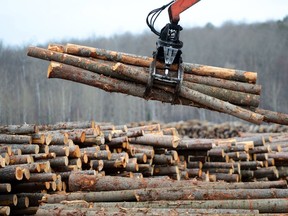 The outlines of a deal with the United States to resolve the softwood lumber dispute are in place: Foreign Affairs Minister Chrystia Freeland