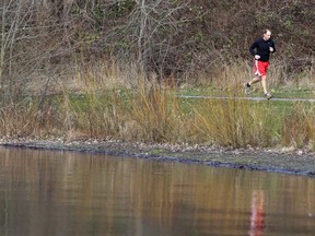 Algae and joggers at Elk/Beaver Lake in Victoria, B.C. February  15, 2012.