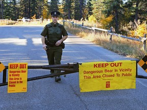 Fish and wildlife officer Matt Michaud monitors the closed area in Griffith Woods Park in Discovery Ridge after a grizzly bear had two close encounters with residents. Fish and Wildlife has set a trap to try and capture and relocate the bear.