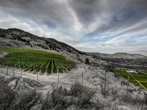 Culmina Family Estate Winery is on the Golden Mile Bench, the only solo sub-appellation in B.C.