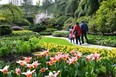 A family strolls past cheery narcissus, early tulips, fragrant hyacinths and the emerging greens of a garden coming to life in spring. Curved pathways always allow for more wow factor.