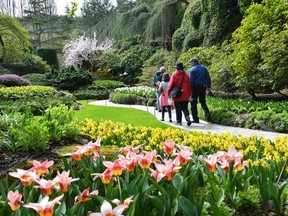 A family strolls past cheery narcissus, early tulips, fragrant hyacinths and the emerging greens of a garden coming to life in spring. Curved pathways always allow for more wow factor.