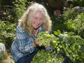 Maria Keating, an environmental educator with the City Farmer Society, with seven different varieties of hops harvested at the Vancouver Compost Garden.