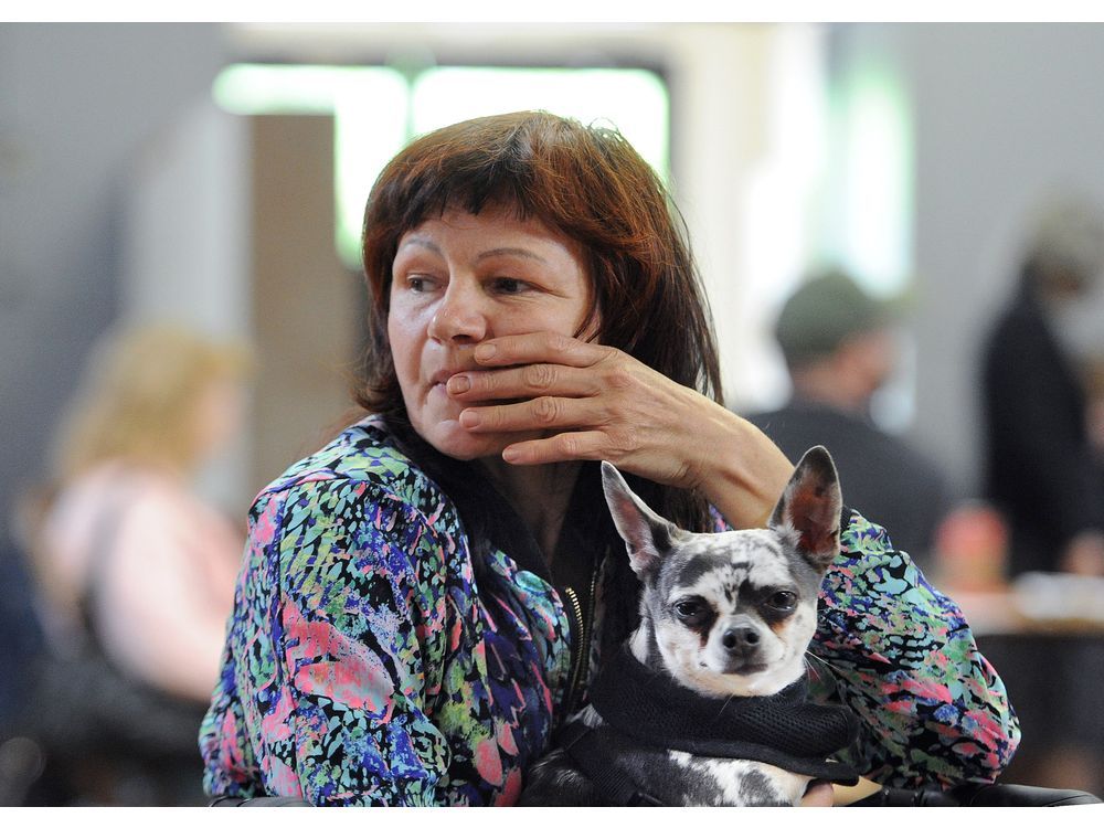 Free veterinary clinic offers hope for dog and cat owners Vancouver Sun