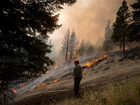 Derek Campbell

Derek Campbell uses a hose to direct water outside a fire guard line during a controlled burn being performed to help prevent the Finlay Creek wildfire from spreading near Peachland, B.C., on Thursday, September 7, 2017. THE CANADIAN PRESS/Darryl Dyck ORG XMIT: VCRD212
DARRYL DYCK,