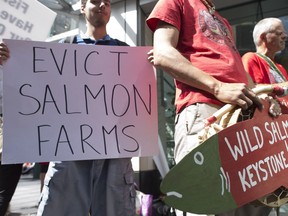 Protesters stand outside the Fisheries and Oceans office in downtown Vancouver to rally against fish farms and to bring attention to the protection of the salmon population.