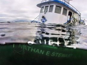 The tugboat Nathan E. Stewart is seen in the waters of the Seaforth Channel near Bella Bella, B.C., in an Oct. 23, 2016, handout photo. Seafood harvesting in the area remains closed a year after the Oct. 13 sinking.