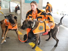 Dog-handler Jeanette Van Dijk, with Phoenix and another dog from the Canadian Search and Disaster Dogs Association, arrive home at Vancouver airport Sunday after helping with earthquake search and rescue in Mexico City.