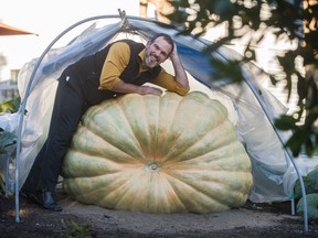 Jeff Pelletier with his pumpkin he figures weighs over 1000lbs at his home in North Vancouver, B.C., October 3, 2017.  Pelletier grows huge pumpkins. He won an award recently for "prettiest pumpkin" and will show off the one pictured here.