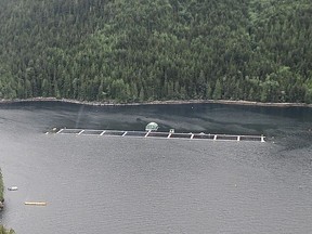 Marine Harvest Salmon Farm Fish Farm at Doctor Islets in the Broughton Archipelago.