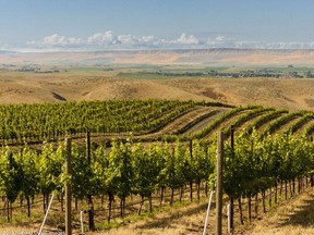 Washington State’s Walla Walla Valley Wine Alliance has announced WWander Walla Walla Valley Wine, a curated winemaker itinerary series available Saturdays from Oct. 14 through Dec. 16.