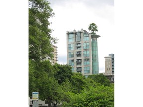 2007:An oak tree that that has been part of the English Bay skyline for three decades has been replaced. Crews used a crane on Wednesday to lift the 10-metre high, three metre wide pin oak tree up 60 metres to the roof deck of a condo tower on Beach Avenue in Vancouver's West End. The first tree, also a pin oak, was planted on the roof deck in 1987 but was removed earlier this year after it died. This is a 2007photo of the first oak tree. Copied under a Creative Commons License - https://creativecommons.org/licenses/by-sa/2.0/. Mandatory credit:  Elaine with Grey Cats  / Flickr [PNG Merlin Archive]
Elaine with Grey Cats / Flickr, Flickr