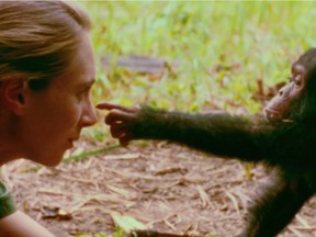 Jane Goodall in a scene from the documentary, Jane.