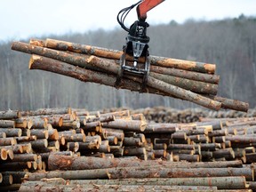 Workers sort wood at Murray Brothers Lumber Company woodlot in Madawaska, Ont. on April 25, 2017. THE CANADIAN PRESS/Sean Kilpatrick