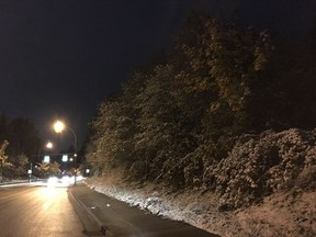 A driver passes snow-covered trees in Coquitlam. Metro Vancouver got its first blast of winter weather Nov. 2.