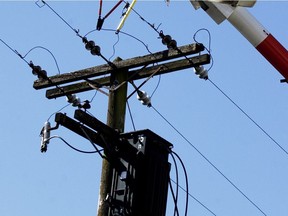 B.C. Hydro is warning homeowners to be careful when doing yard work such as pruning trees. The agency says the number of incidents of people coming into contact with power lines is up.