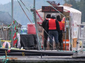 Marine Harvest employees deliver notice of the company's intention to seek an injunction to remover protesters at its Midsummer Island farm site in the Broughton Archipelago on Nov. 11, 2017.