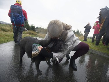 Dog Bubba is reunited with owner Tina Presley.