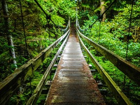 A footbridge crosses a creek on the West Coast Trail.