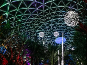 Arctic Oasis at Bloedel Conservatory for holiday heights.