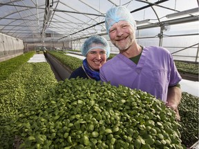 Carmen and Glenn Wakeling at their organic Eatmore Sprouts and Greens Ltd. operation in the Comox Valley of Vancouver Island.