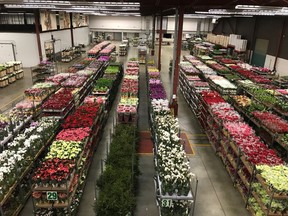 United Flower Growers in Burnaby hosts the largest flower auction in North America.