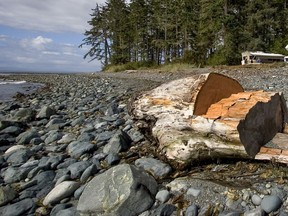 Jordan River beach on Vancouver Island.