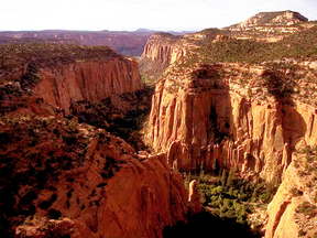 The Upper Gulch section of the Escalante Canyons within Utah's Grand Staircase-Escalante National Monument features sheer sandstone walls, broken occasionally by tributary canyons.