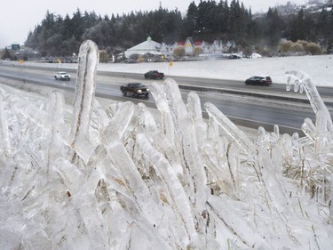 Freezing rain for the past several days caused tree branches to fall on powerlines causing power outages, and trees to topple in Mission, BC, Saturday, December 30, 2017. Thousands of people are without power in the Mission, Abbotsford and Langley areas and the freezing rain has made traveling treacherous.