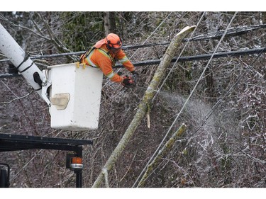 Freezing rain for the past several days caused tree branches to fall on powerlines causing power outages, and trees to topple in Mission, BC, Saturday, December 30, 2017. Thousands of people are without power in the Mission, Abbotsford and Langley areas and the freezing rain has made traveling treacherous.