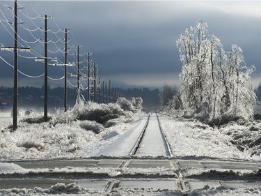 Freezing rain for the past several days has caused tree branches to fall on power lines causing power outagesthroughout the Fraser Valley Saturday, December 30, 2017.