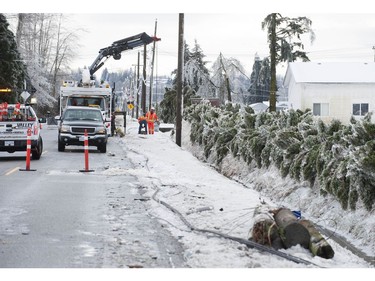 Freezing rain for the past several days has caused tree branches to fall on power lines causing power outagesthroughout the Fraser Valley Saturday, December 30, 2017. Thousands of people are without power in the Mission, Abbotsford and Langley areas and the freezing rain has made traveling treacherous.