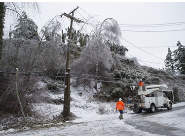 Freezing rain for the past several days has caused tree branches to fall on power lines causing power outagesthroughout the Fraser Valley Saturday, December 30, 2017. Thousands of people are without power in the Mission, Abbotsford and Langley areas and the freezing rain has made traveling treacherous.