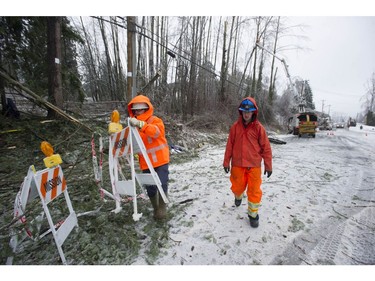 Freezing rain for the past several days has caused tree branches to fall on power lines causing power outagesthroughout the Fraser Valley Saturday, December 30, 2017. Thousands of people are without power in the Mission, Abbotsford and Langley areas and the freezing rain has made traveling treacherous.