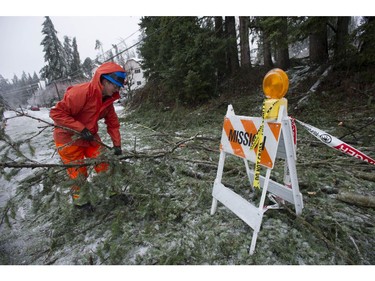 Freezing rain for the past several days has caused tree branches to fall on power lines causing power outagesthroughout the Fraser Valley Saturday, December 30, 2017. Thousands of people are without power in the Mission, Abbotsford and Langley areas and the freezing rain has made traveling treacherous.