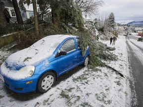 Freezing rain for the past several days caused tree branches to fall on powerlines causing power outages, and trees to topple in Mission, BC, Saturday, December 30, 2017. Thousands of people are without power in the Mission, Abbotsford and Langley areas and the freezing rain has made traveling treacherous.