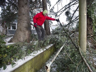 Freezing rain for the past several days caused tree branches to fall on powerlines causing power outages, and trees to topple in Mission, BC, Saturday, December 30, 2017.