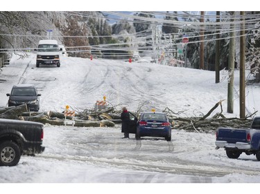 Freezing rain for the past several days caused tree branches to fall on powerlines causing power outages, and trees to topple in Mission, BC, Saturday, December 30, 2017. Thousands of people are without power in the Mission, Abbotsford and Langley areas and the freezing rain has made traveling treacherous.